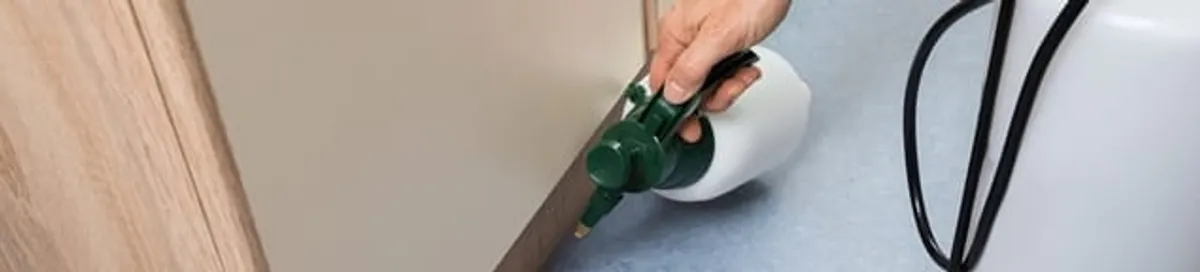 Bed bug exterminator treating baseboards and cracks with targeted spray in Myrtle Beach, SC