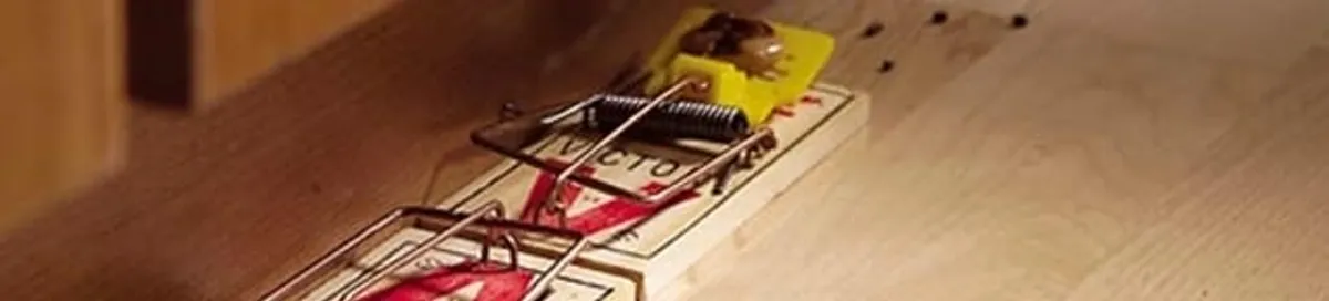 Rodent trap set indoors for rodent control and prevention in Myrtle Beach, SC